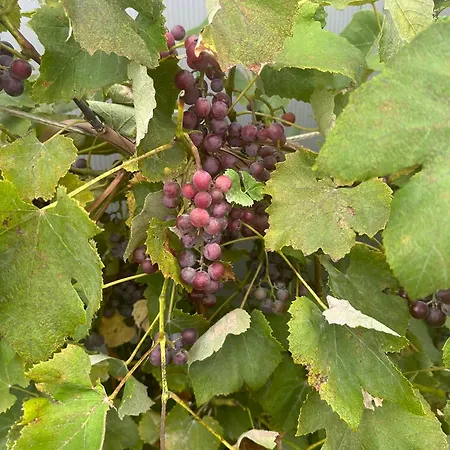 D&d Apartamento Gorlice